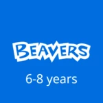 Beavers 6-8 years old Logo Button
