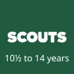 Scouts 10 1/2 - 14 years old Logo Button
